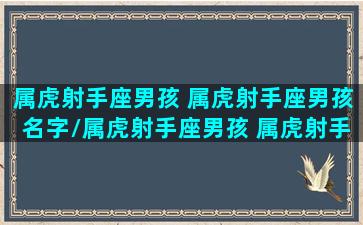 属虎射手座男孩 属虎射手座男孩名字/属虎射手座男孩 属虎射手座男孩名字-我的网站